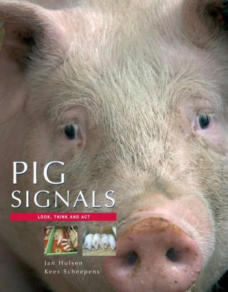 Pig Signals. Agriculture and Livestock Shop: farms